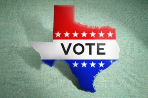Image result for texas vote images
